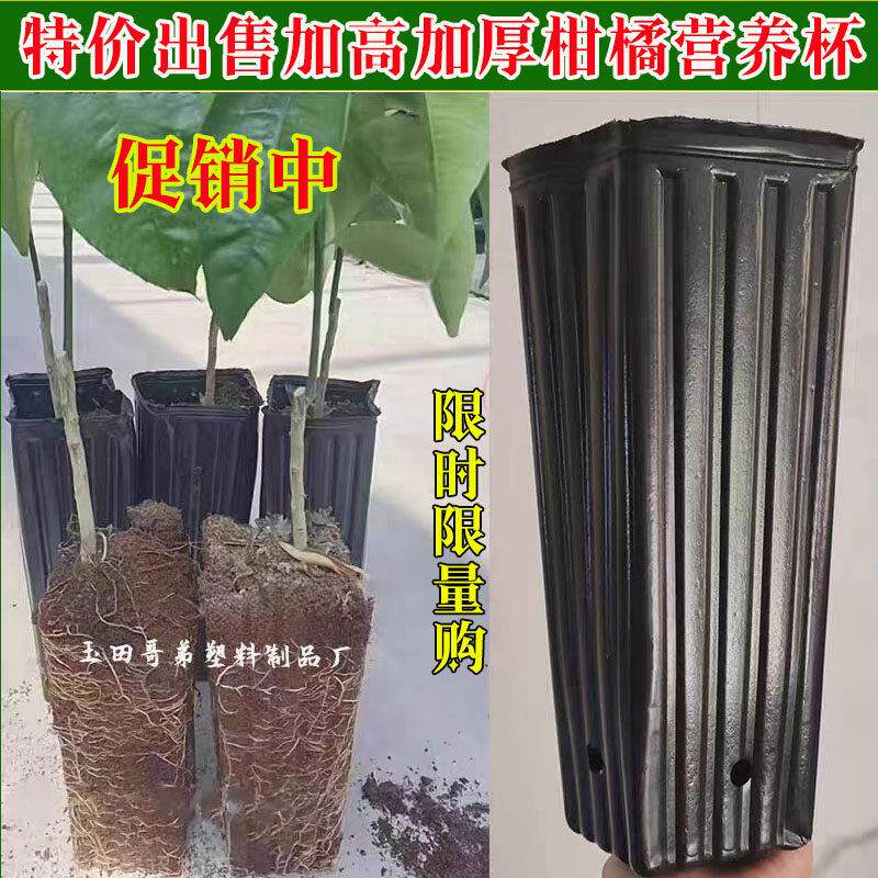 营养钵育苗盆大号一次性黑色塑料细高型提根柑橘育苗钵脐橙营养袋