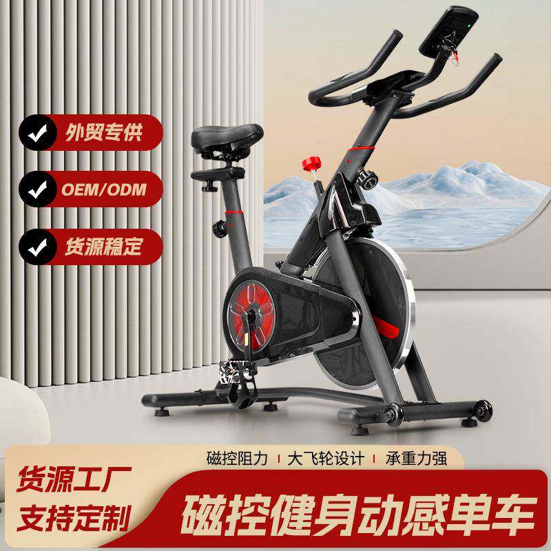 静音磁控健身车运动器械家用健身器材脚踏单车室内软坐垫动感单车