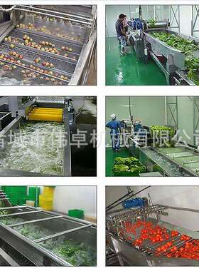 商用全自动洗菜 菌类KQB喷厂淋式气泡清洗机 源蔬菜气机泡清洗机