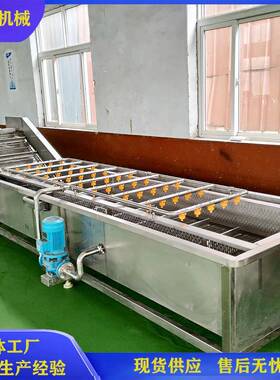 冻品气泡清洗机解冻洗肉机器高压喷淋清洗设备黄瓜清洗厂家
