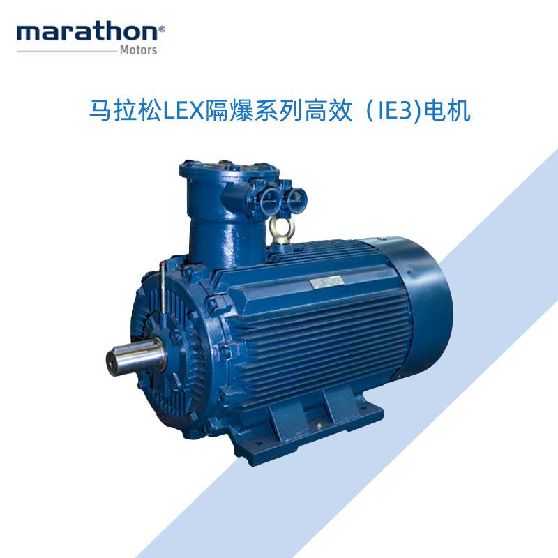 marathon马拉松LEX隔爆系列三相异步电机80-355机座风机水泵压缩