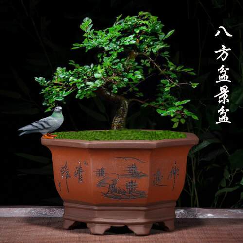 紫砂花盆四方盆景盆栽花卉室内陶瓷盆八角梅花榕树盆景专用盆大号