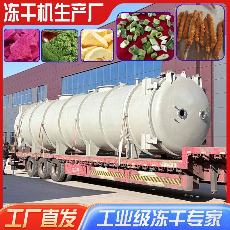 真空冻干机食品级果蔬肉类食品冻干设备工厂全套解决方案