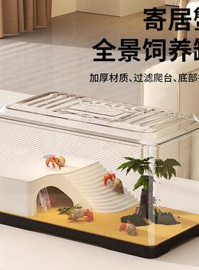 阔庭寄居蟹缸养螃蟹专用缸生态造景爬宠饲养箱角蛙雨林缸仿亚克力