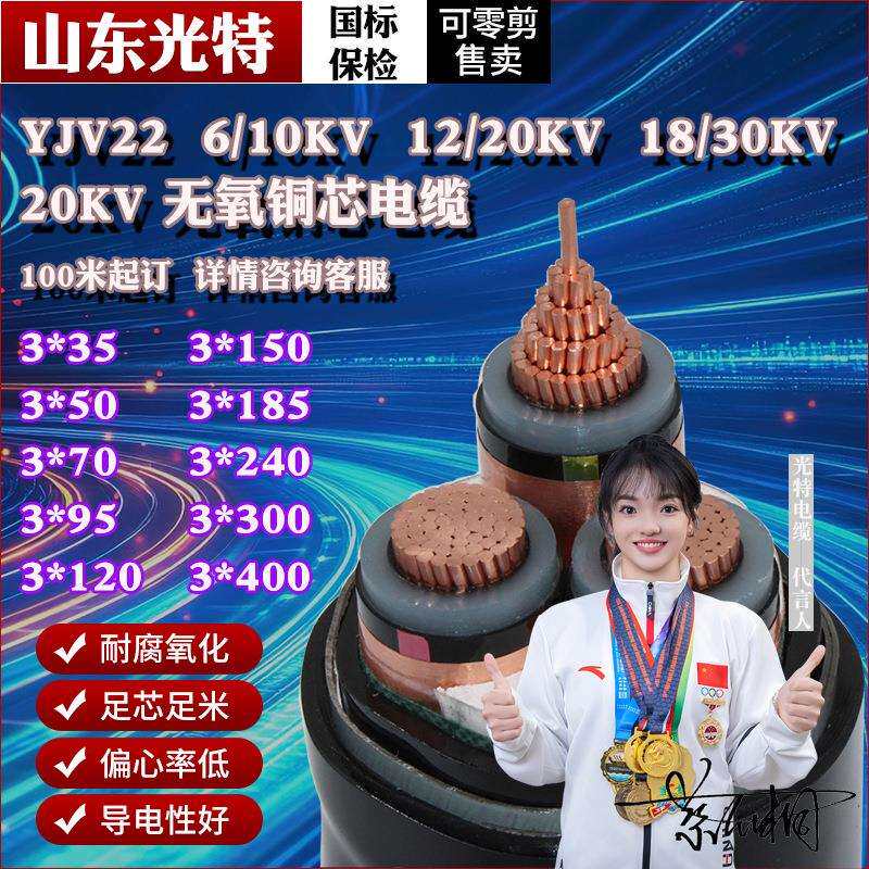 YJV22铜芯20KV高压10KV电缆线12KV 3芯70 120 150 300平方18/30KV