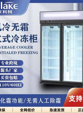 冰柜商用立式冷冻柜超市大容量立式展示柜双门无霜冷柜饮料柜水吧