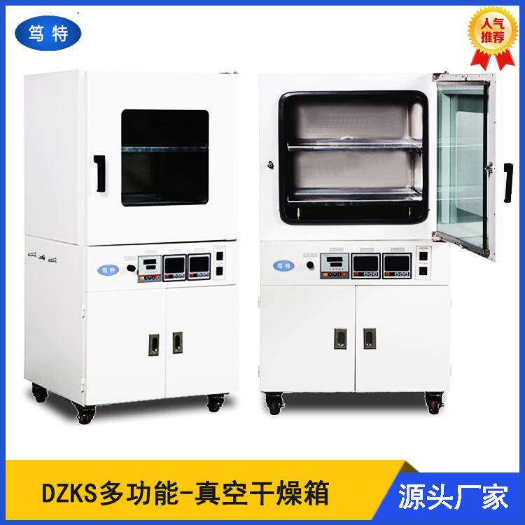 笃特DZKS真空度数显可控全自动真空干燥箱实验室智能电热真空烘箱