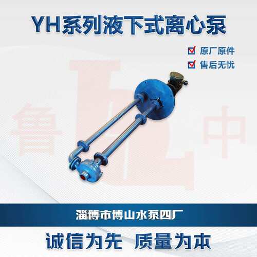 YH50-125型双管液下泵耐腐蚀液下泵多种液下长度博山水泵厂家直供