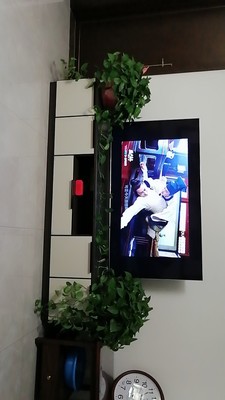 大数据分析创维65H5M与长虹65A4U哪款值得入手?最新评测报价