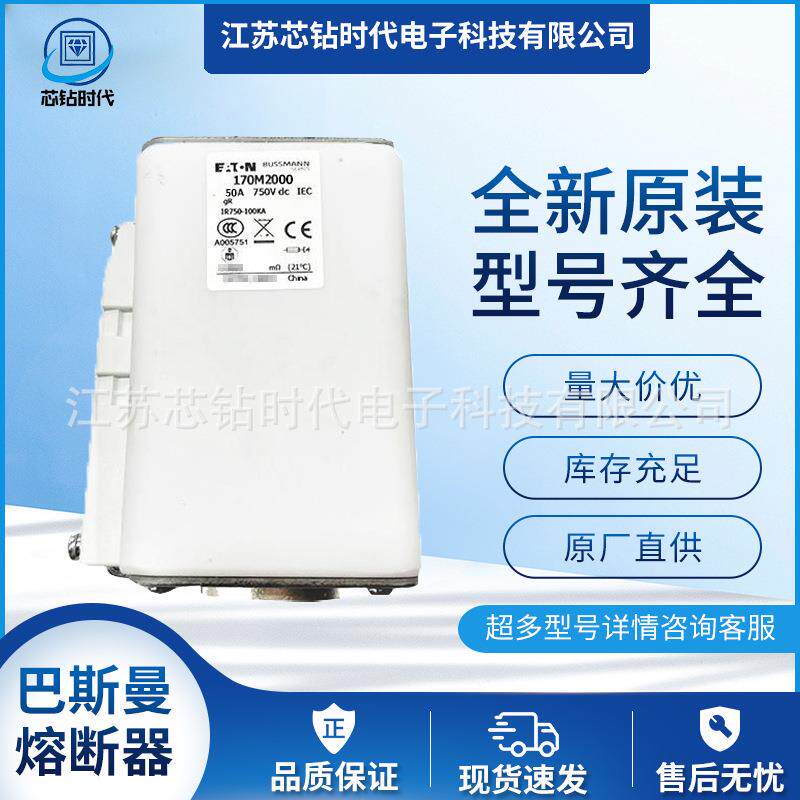 170M2000 170M2001 170M2002巴斯曼BUSSMANN快速熔断器保险丝