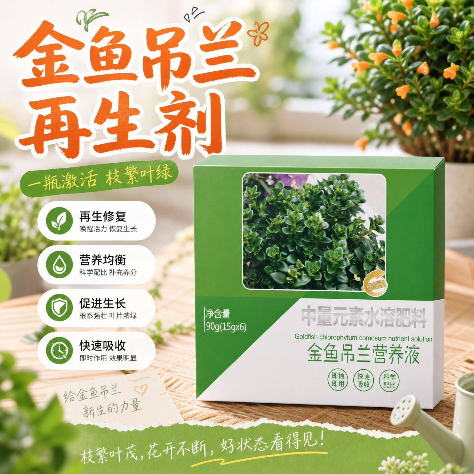 营养液营养液金边吊兰生物菌肥