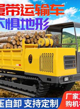 爬山虎履带车3吨工程农用履带车山地水路5吨履带运输车全地形通用