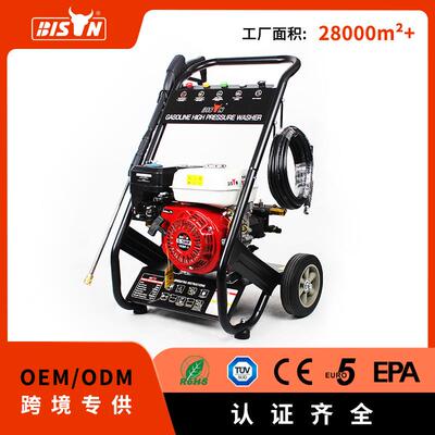 Bison汽油高压清洗机洗车机高压水枪大功率家用可移动170bar