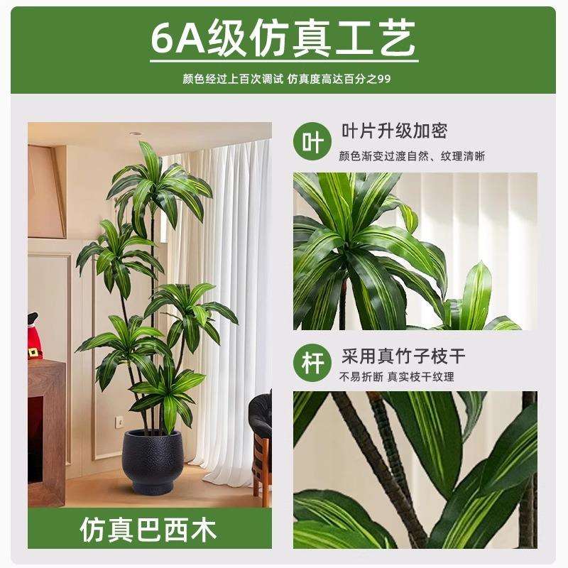 巴西木仿真绿植高端轻奢客厅大型室内电视柜旁摆件装饰树假植物