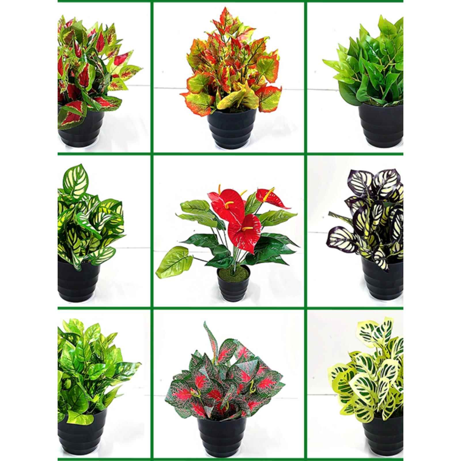 彷真绿萝叶草蕨类植物背景墙绿植工程客厅阳台装饰插花配材红掌