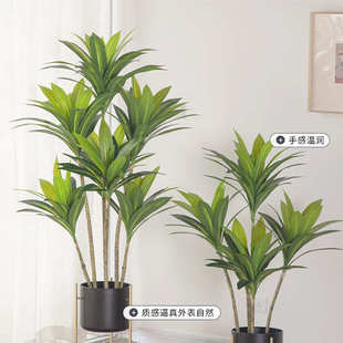 仿真绿植巴西木盆栽家居软装布景室内室外北欧风摆件假植物树盆景