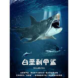 史前海洋巨兽白垩刺甲鲨模型巨齿鲨鱼儿童玩具仿真动物摆件旋齿鲨