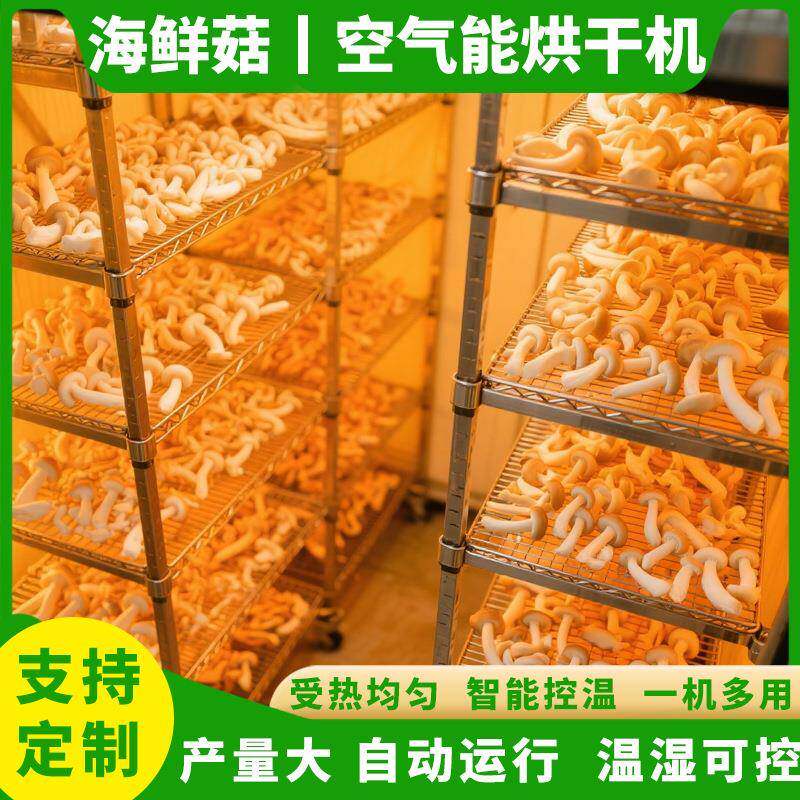 海鲜菇烘干房空气能种植菌子牛肝菌杏鲍菇烘干机食用菌烘干设备