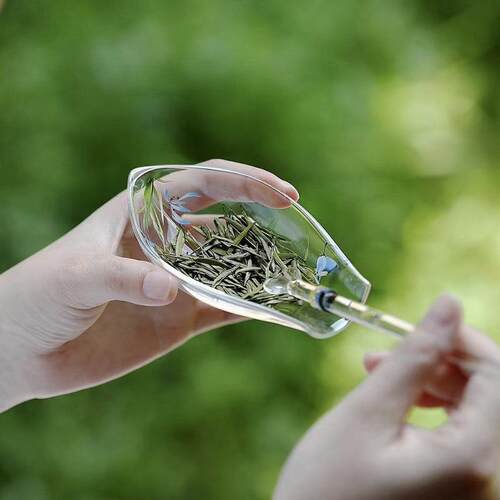 宜室茶话蝴蝶兰花玻璃茶则二件套透明精致小茶荷手工茶具茶道配件