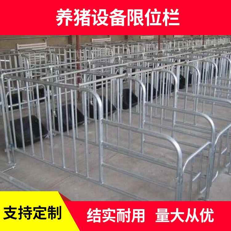 厂家定制加厚猪用定位栏带复合漏粪板猪用限位栏养猪设备