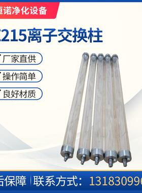 SZT-A217阳离子树脂交换柱HP214透明树脂交换器