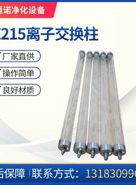SZT-A217阳离子树脂交换柱HP214透明树脂交换器