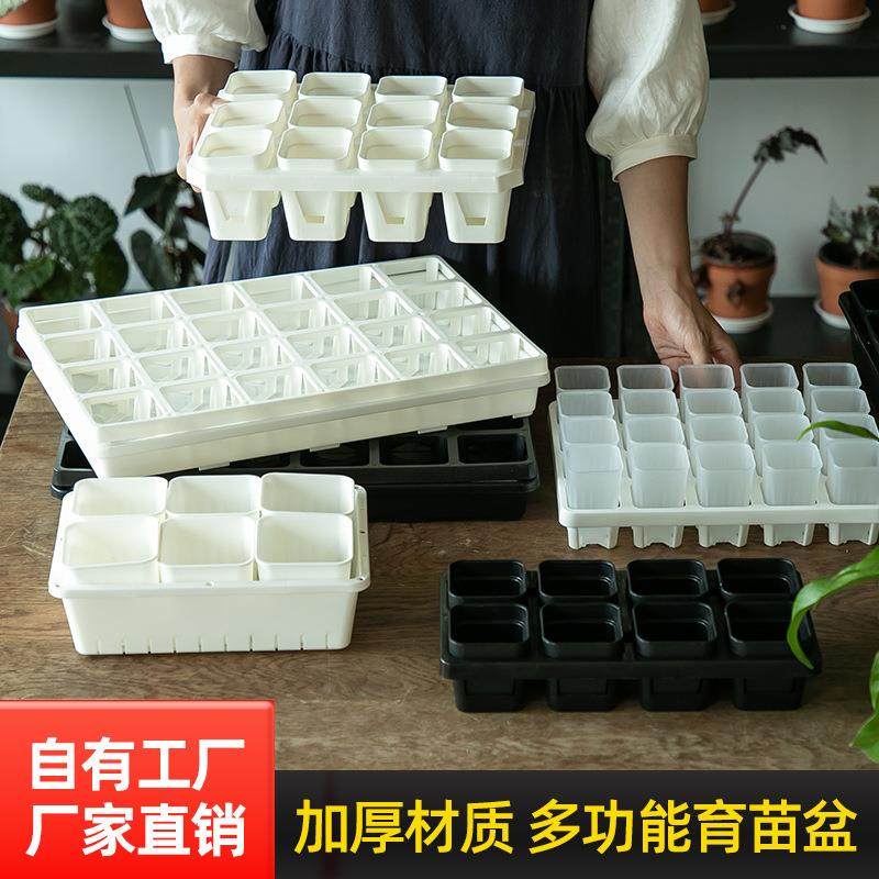 育苗盆塑料多肉叶插小黑方播种扦插托盘蔬菜西瓜辣椒苗盆穴盘加厚