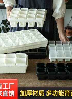 育苗盆塑料多肉叶插小黑方播种扦插托盘蔬菜西瓜辣椒苗盆穴盘加厚