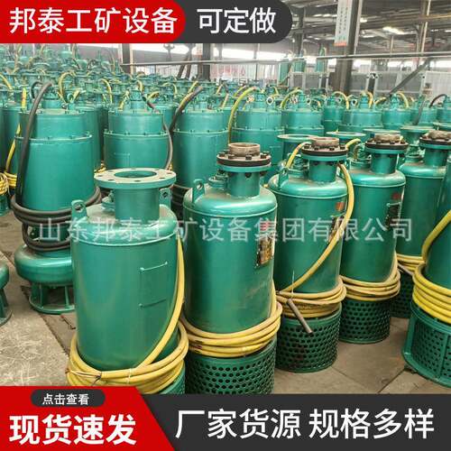 BQS120-50-30kw矿用隔爆型潜水排沙电泵 煤矿井下防爆排污泵1140v