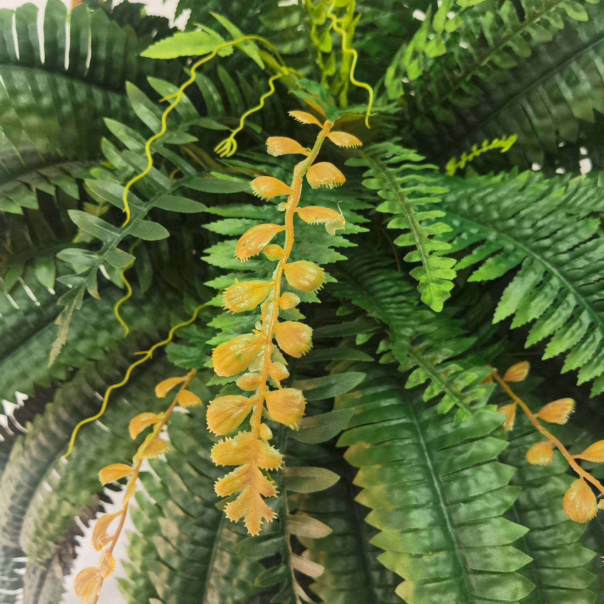 仿真波斯草人造蕨草客厅室内植物角装饰摆件蕨类绿植假波草盆栽
