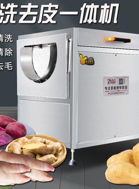 土豆清洗去皮一体机毛辊清洗机适用于土豆红薯生姜猪蹄鱼鳞清除