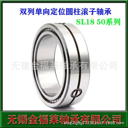 INA轴承 双列满装圆柱滚子轴承SL01 4848 NNC4848V 定位轴承 现货