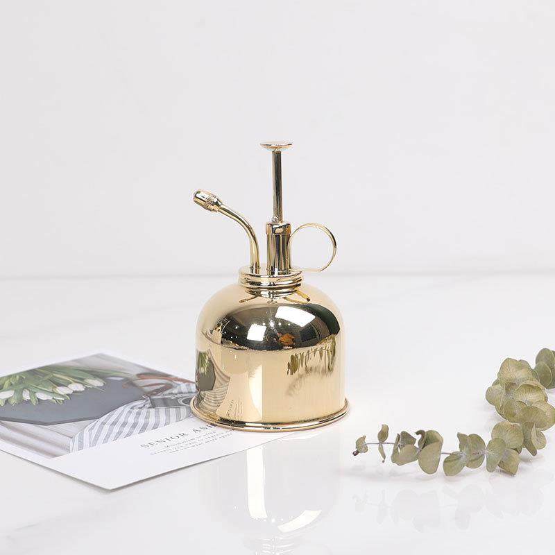 家用黄铜小型多肉喷水壶 浇花喷雾器 金色北欧风室内花店装饰摆件,家庭/个人清洁工具,清洁喷壶,淘宝优惠券,粉丝福利购,淘宝优惠卷