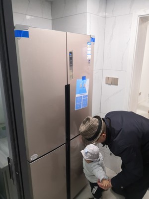 海尔四门冰箱对开门家用变频双开门（前车之鉴）有必要告诉大家真相