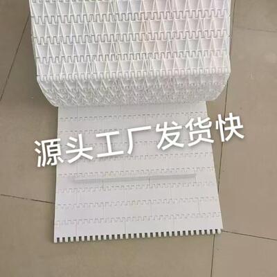 50.8塑料链板输送带OPB带挡板食品级链板耐高温耐腐蚀塑料网带链
