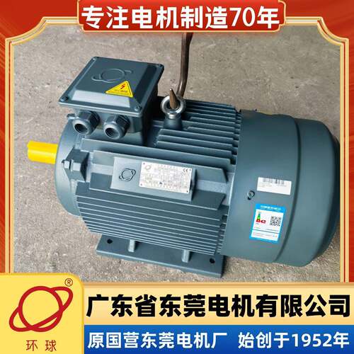 东莞电机东莞环球电机三相380V电动机YE3-180L-4-22W国标B3B5