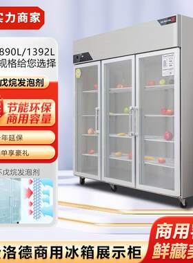 金松陈洛德门展示柜商用冰箱双门留样冷藏列柜二三门点菜柜保鲜柜