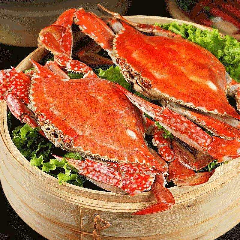 梭子蟹鲜活冷冻新鲜特大螃蟹海鲜水产冷冻海蟹白蟹飞蟹顺丰批
