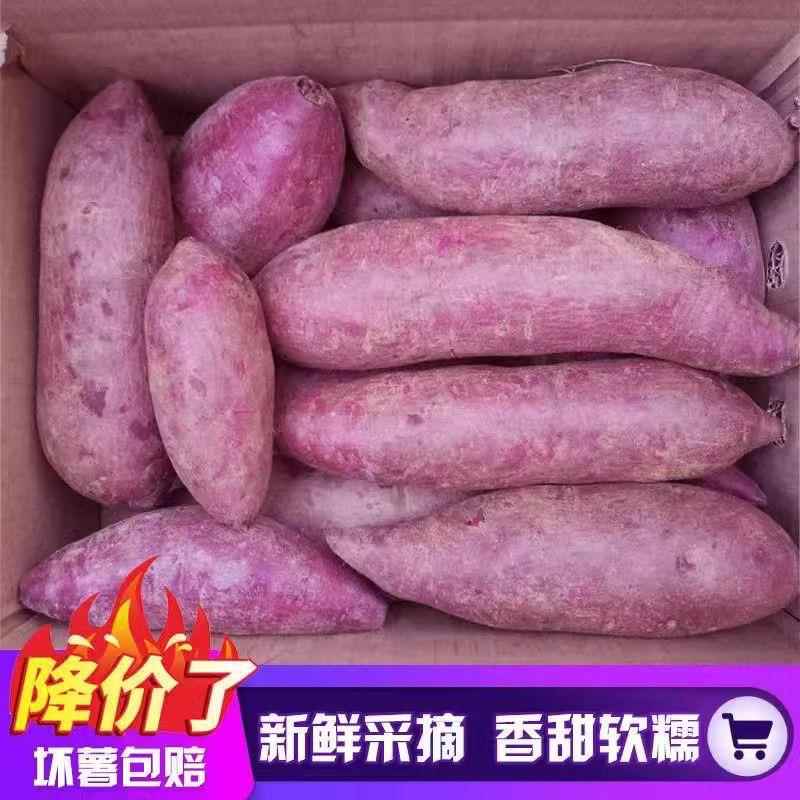 紫薯新鲜沙地紫红薯10斤紫罗兰地瓜当季板栗烟薯番薯小香薯包邮