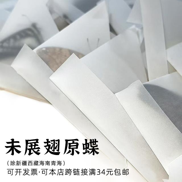 未展翅原蝶标本A1/A-品质DIY手工原材料真蝴蝶三角袋包装单选品种