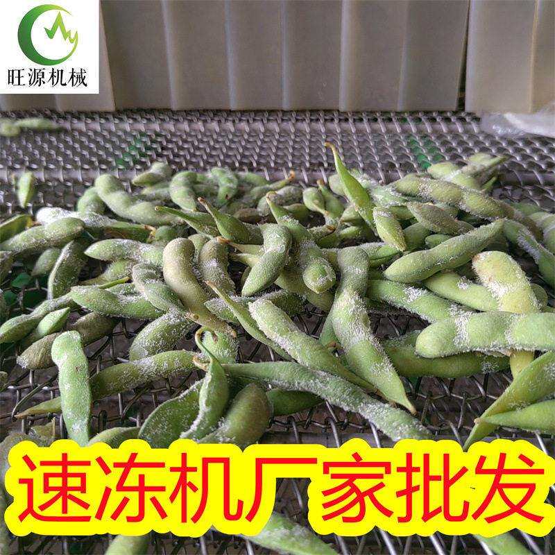 黄金沟速冻机 低温速冻豆角黄金沟鱼冻设备 隧道式速冻蔬菜