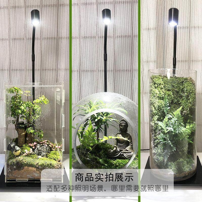 厂家新款全光谱微景观灯生态瓶灯植物生长灯补光灯苔藓灯造景灯竹