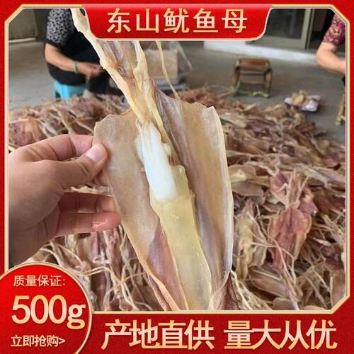 东山鱿鱼母吊母生晒本港鱿鱼带卵海鲜干货鱿鱼籽