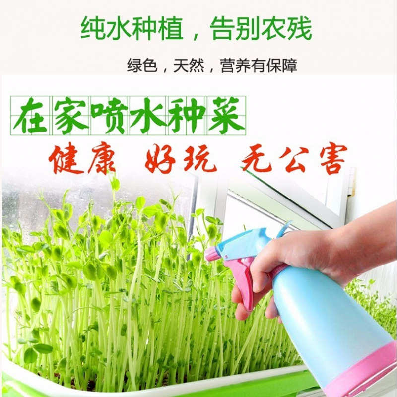 豆芽菜育苗盘托盘架子芽苗菜麦苗种植盘阳台无土水培蔬菜纸上种菜