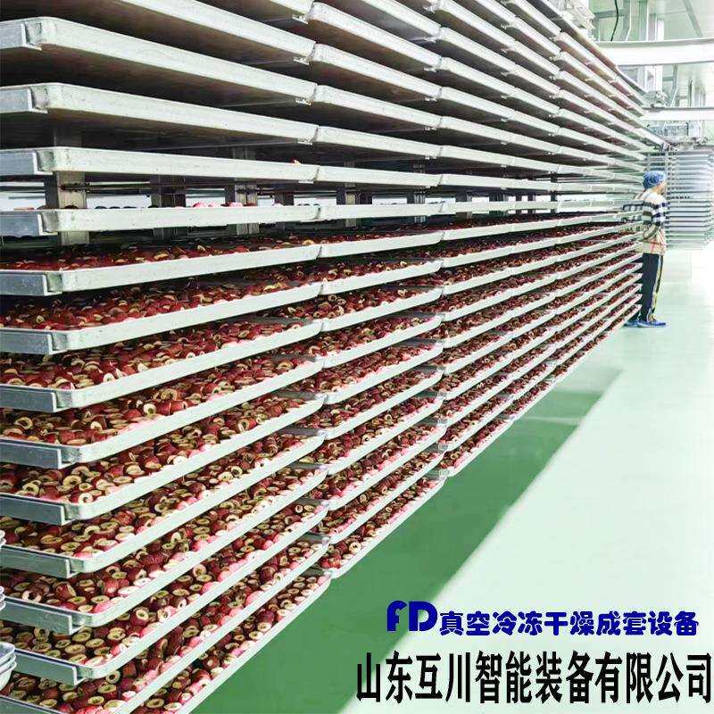 速溶冷萃咖啡粉冻干设备灵芝人参全自动真空冷冻干燥机大型商用