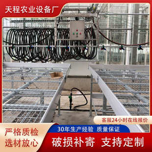 智能温室蔬菜苗床 电焊网片苗床网温室大棚育苗床 大棚围栏