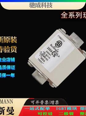 巴斯曼170M2714 170M2715 170M2716 经销直销价优 快熔保险丝