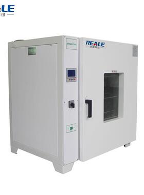 东莞环瑞热销RZF-6020实验室小型烘干箱电热恒温鼓风干燥箱