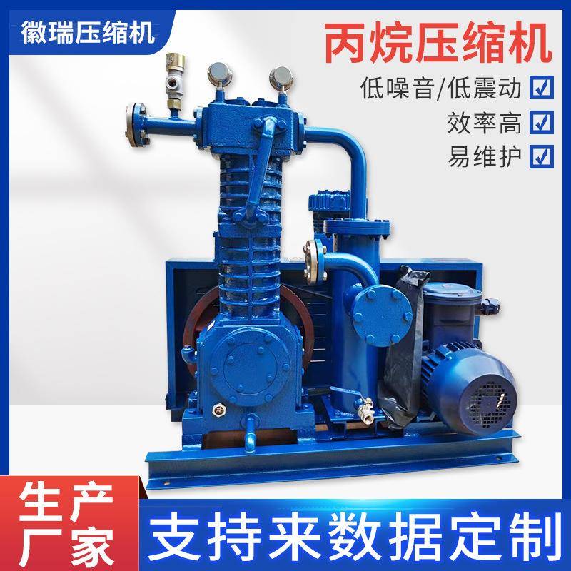 徽瑞厂家直销ZW0.4-16-24皮连丙烷活塞式压缩机低噪音低震动