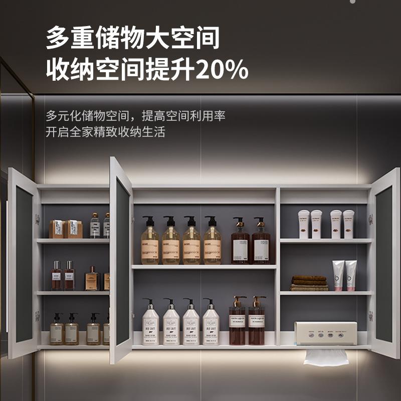 间智能浴镜实木单挂墙839式卫生室间镜柜独置物柜洗手收纳储物柜